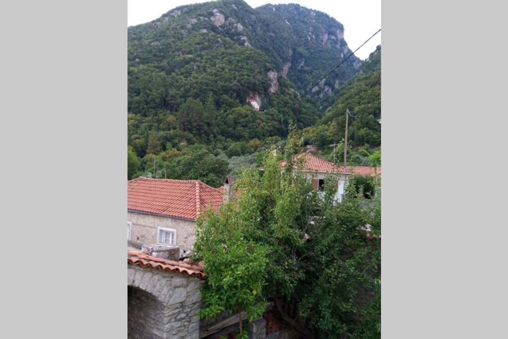 Ανεξαρτητο Studio Στο Ομορφο Καστορειο Kastorion Exterior photo