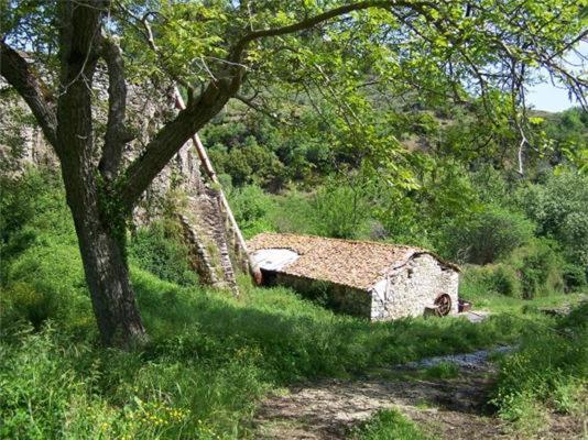 Ανεξαρτητο Studio Στο Ομορφο Καστορειο Kastorion Exterior photo