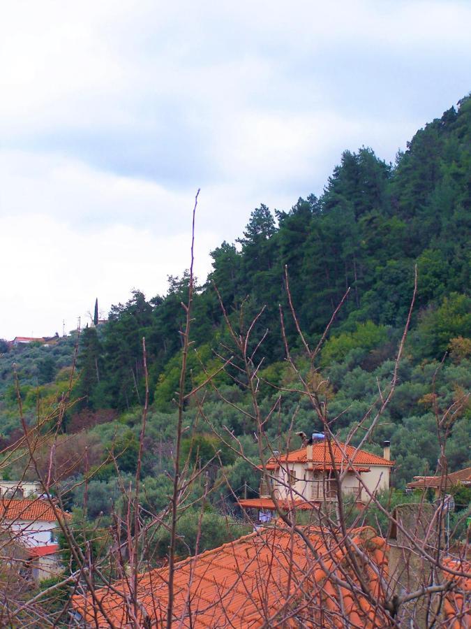 Ανεξαρτητο Studio Στο Ομορφο Καστορειο Kastorion Exterior photo