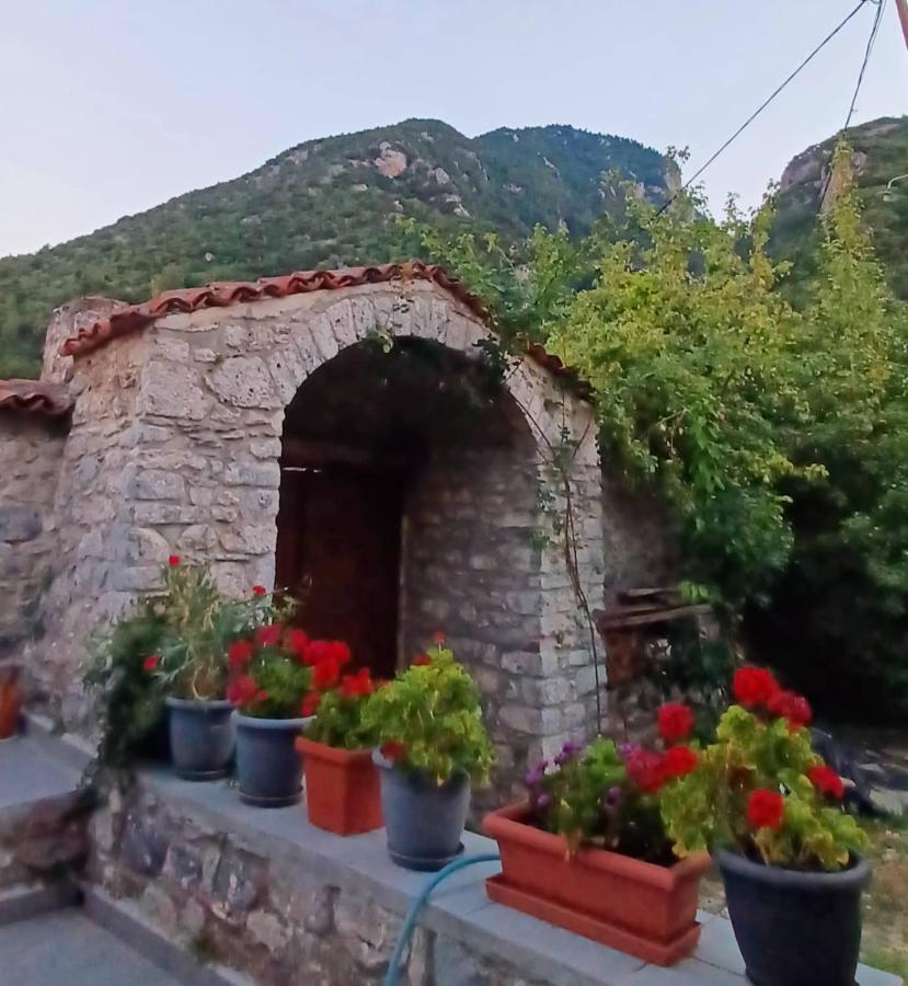 Ανεξαρτητο Studio Στο Ομορφο Καστορειο Kastorion Exterior photo